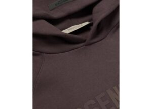 essentials oversized hoodie plum